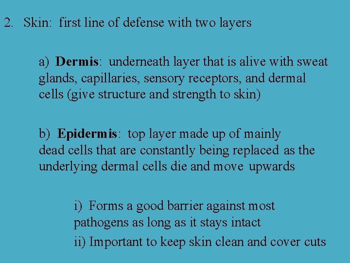 2. Skin: first line of defense with two layers a) Dermis: underneath layer that