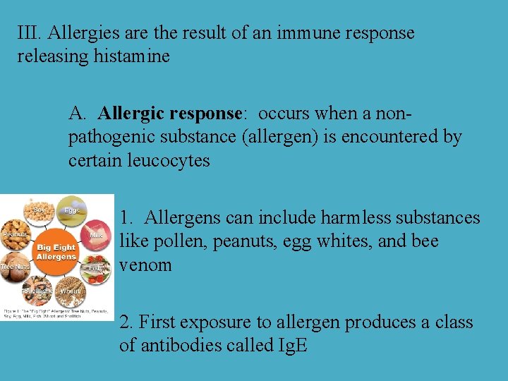 III. Allergies are the result of an immune response releasing histamine A. Allergic response: