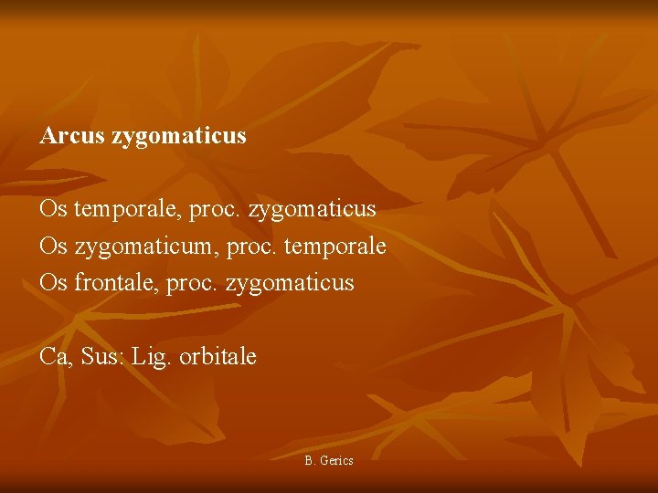 Arcus zygomaticus Os temporale, proc. zygomaticus Os zygomaticum, proc. temporale Os frontale, proc. zygomaticus