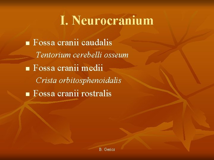 I. Neurocranium n Fossa cranii caudalis Tentorium cerebelli osseum n Fossa cranii medii Crista