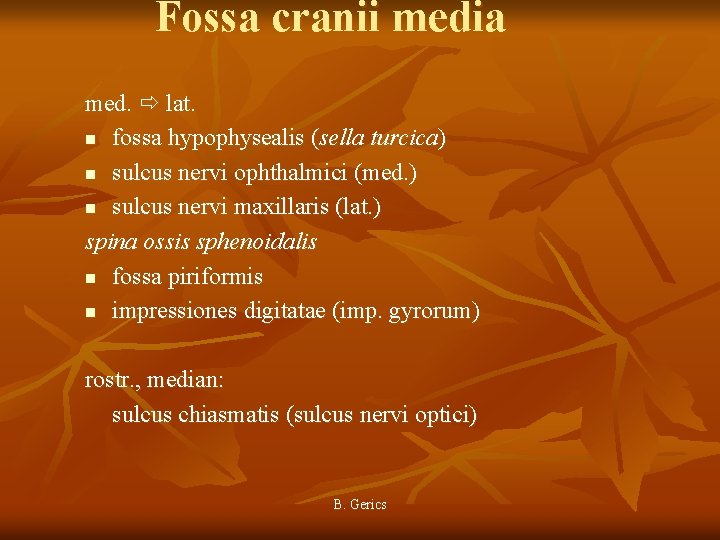 Fossa cranii media med. lat. n fossa hypophysealis (sella turcica) n sulcus nervi ophthalmici