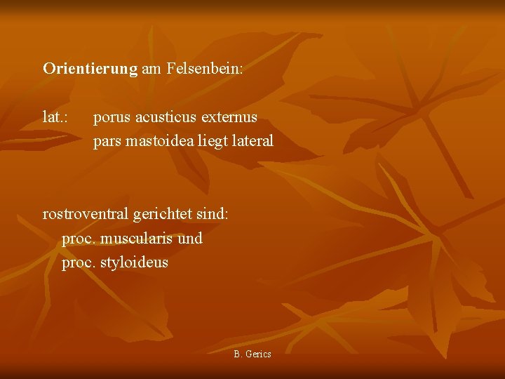 Orientierung am Felsenbein: lat. : porus acusticus externus pars mastoidea liegt lateral rostroventral gerichtet