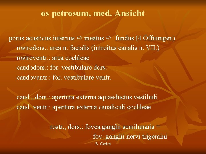 os petrosum, med. Ansicht porus acusticus internus meatus fundus (4 Öffnungen) rostrodors. : area