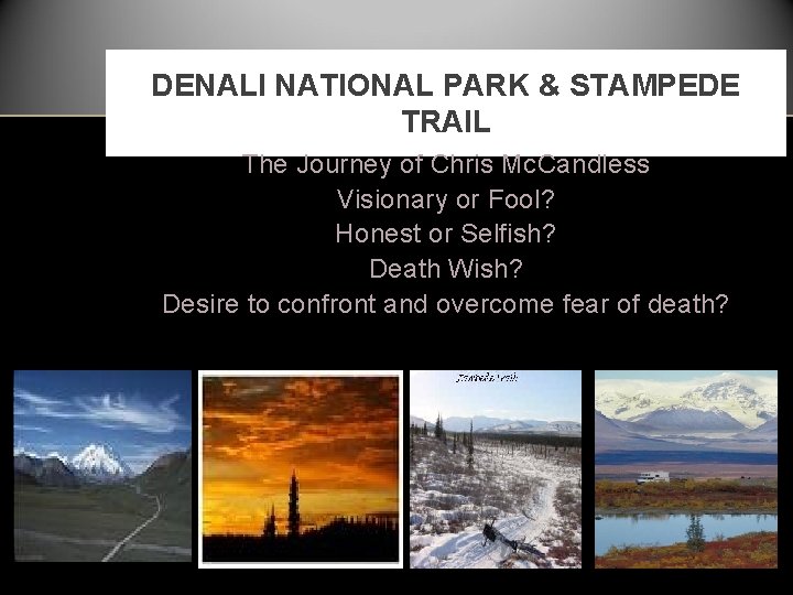 DENALI NATIONAL PARK & STAMPEDE TRAIL The Journey of Chris Mc. Candless Visionary or