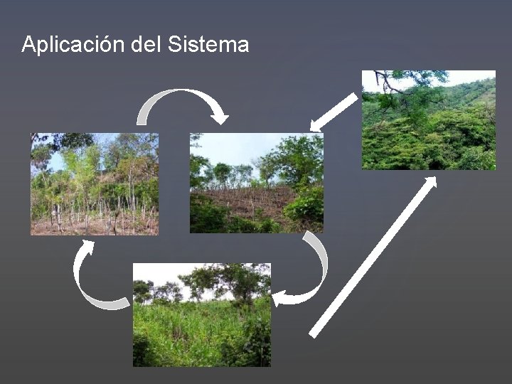 Aplicación del Sistema 