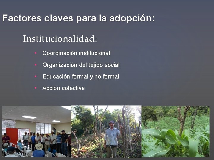 Factores claves para la adopción: Institucionalidad: • Coordinación institucional • Organización del tejido social