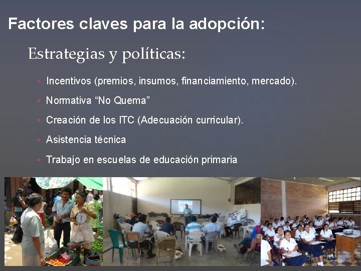 Factores claves para la adopción: Estrategias y políticas: ◦ Incentivos (premios, insumos, financiamiento, mercado).