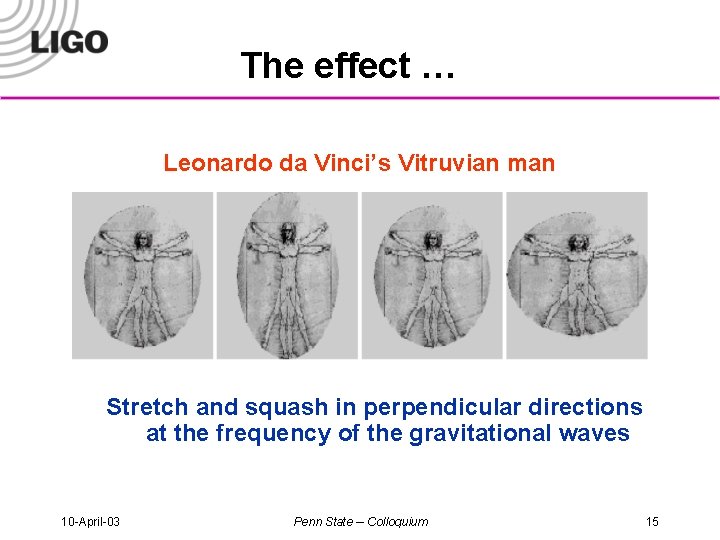 The effect … Leonardo da Vinci’s Vitruvian man Stretch and squash in perpendicular directions