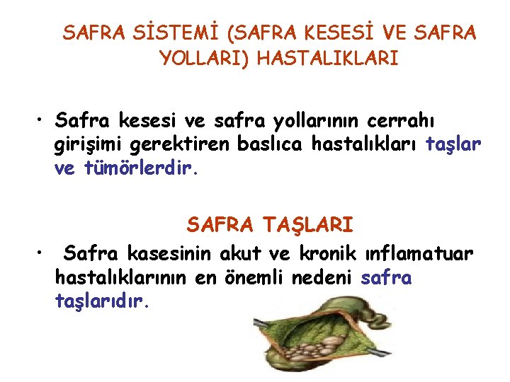 SAFRA SİSTEMİ (SAFRA KESESİ VE SAFRA YOLLARI) HASTALIKLARI • Safra kesesi ve safra yollarının