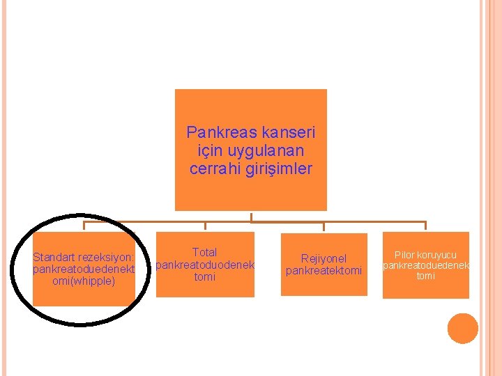 Pankreas kanseri için uygulanan cerrahi girişimler Standart rezeksiyon: pankreatoduedenekt omi(whipple) Total pankreatoduodenek tomi Rejiyonel