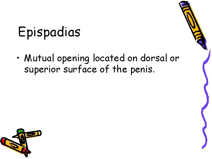 Epispadias • Mutual opening located on dorsal or superior surface of the penis. Epispadias • Mutual opening located on dorsal or superior surface of the penis.