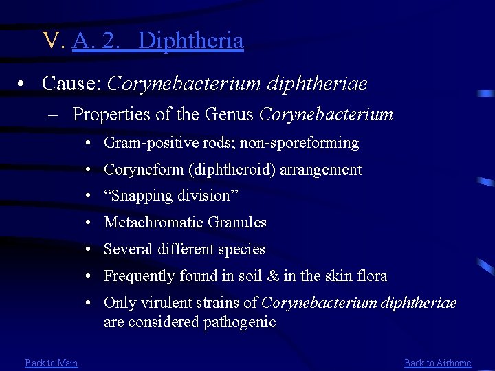 V. A. 2. Diphtheria • Cause: Corynebacterium diphtheriae – Properties of the Genus Corynebacterium