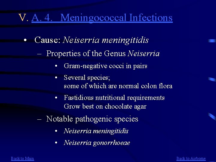 V. A. 4. Meningococcal Infections • Cause: Neiserria meningitidis – Properties of the Genus