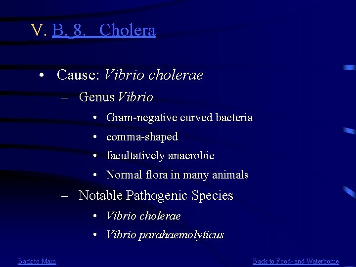 V. B. 8. Cholera • Cause: Vibrio cholerae – Genus Vibrio • Gram-negative curved