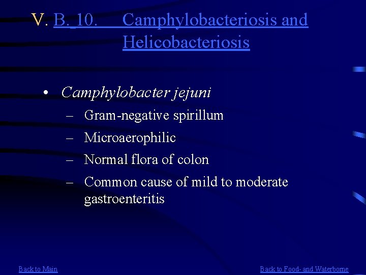 V. B. 10. Camphylobacteriosis and Helicobacteriosis • Camphylobacter jejuni – Gram-negative spirillum – Microaerophilic