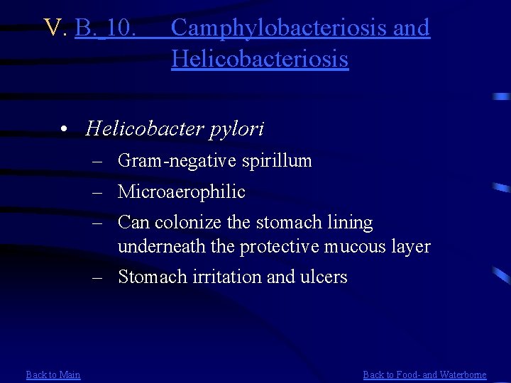 V. B. 10. Camphylobacteriosis and Helicobacteriosis • Helicobacter pylori – Gram-negative spirillum – Microaerophilic
