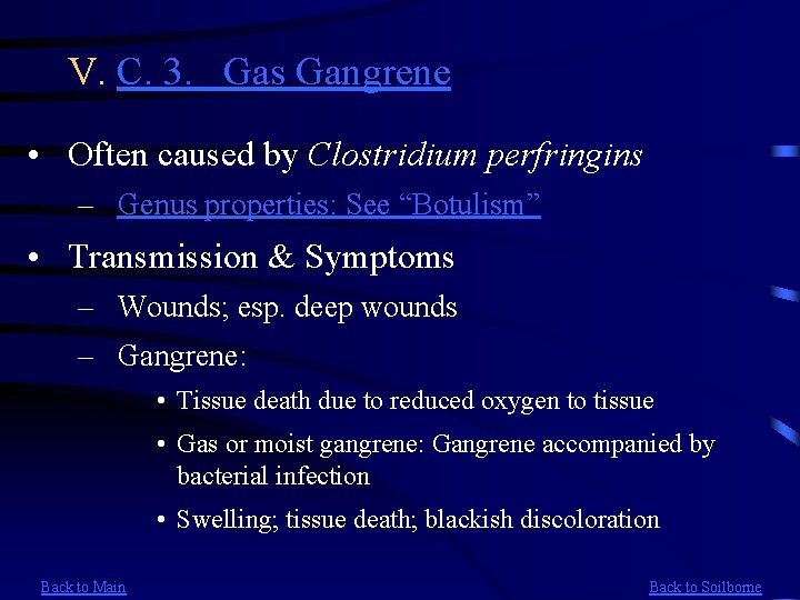 V. C. 3. Gas Gangrene • Often caused by Clostridium perfringins – Genus properties: