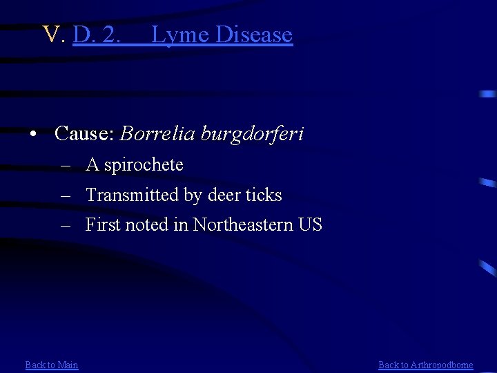 V. D. 2. Lyme Disease • Cause: Borrelia burgdorferi – A spirochete – Transmitted