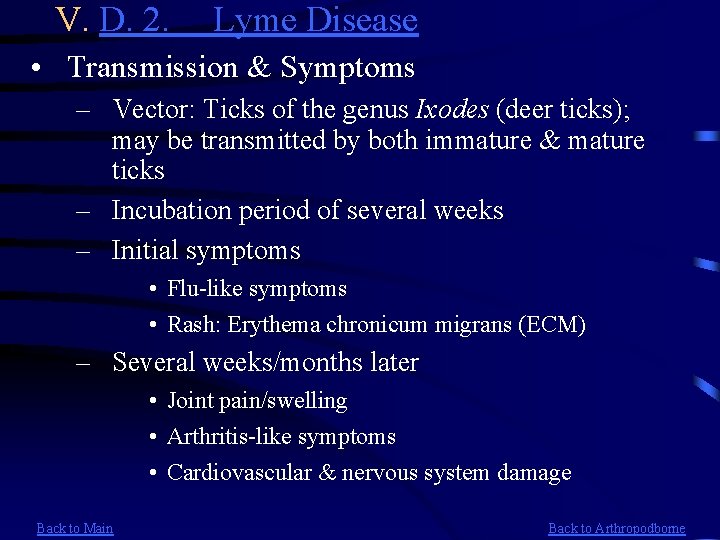 V. D. 2. Lyme Disease • Transmission & Symptoms – Vector: Ticks of the