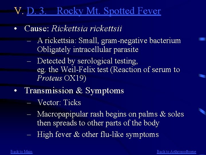 V. D. 3. Rocky Mt. Spotted Fever • Cause: Rickettsia rickettsii – A rickettsia: