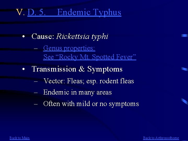 V. D. 5. Endemic Typhus • Cause: Rickettsia typhi – Genus properties: See “Rocky