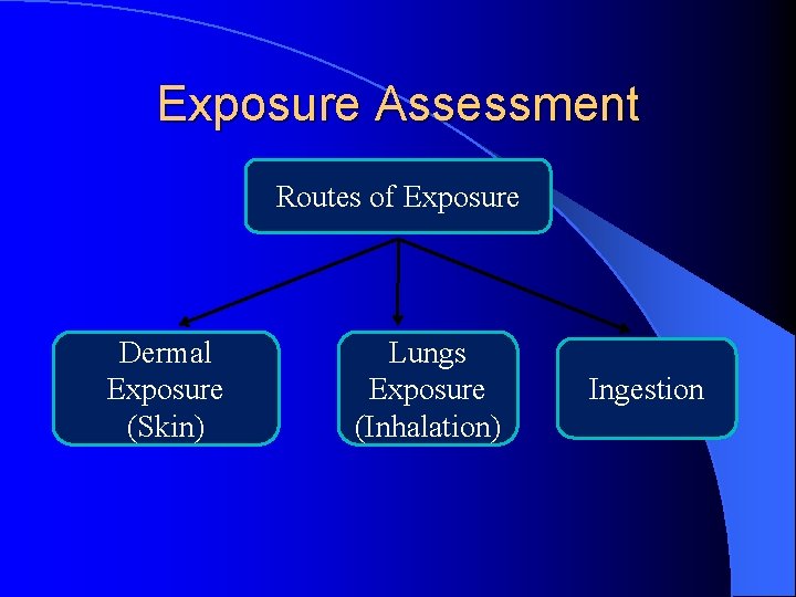 Exposure Assessment Routes of Exposure Dermal Exposure (Skin) Lungs Exposure (Inhalation) Ingestion 