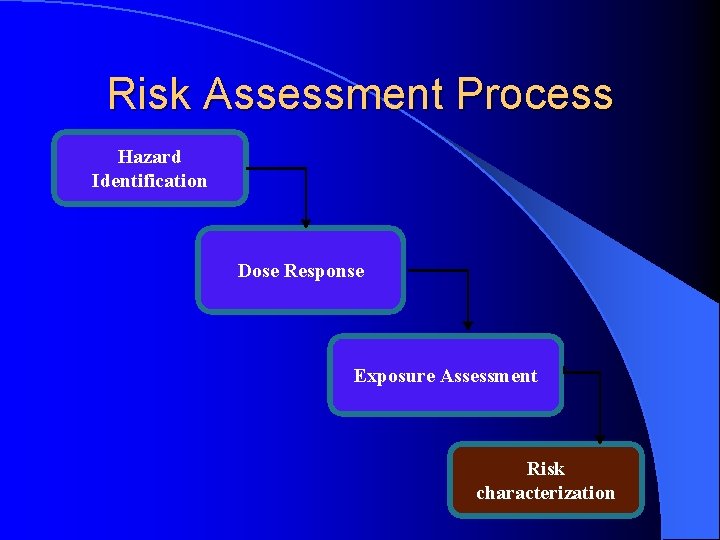 Risk Assessment Process Hazard Identification Dose Response Exposure Assessment Risk characterization 