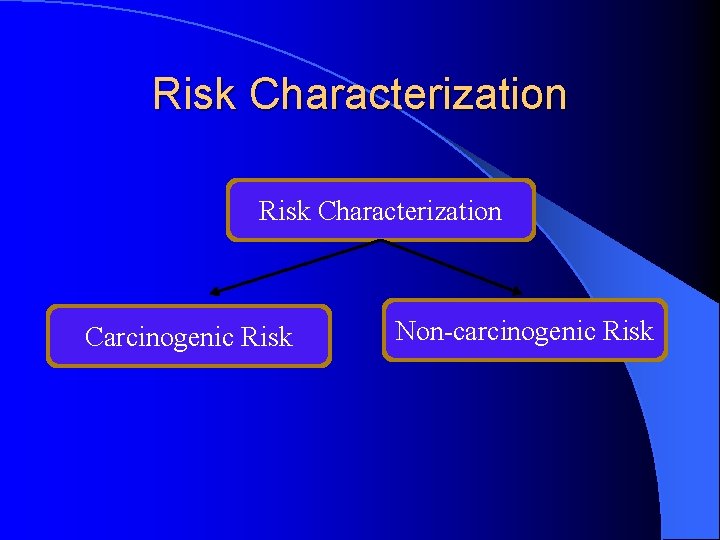 Risk Characterization Carcinogenic Risk Non-carcinogenic Risk 