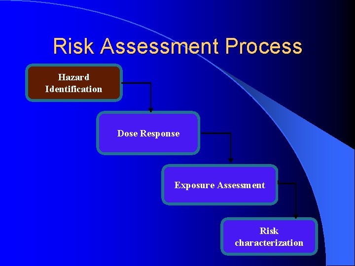 Risk Assessment Process Hazard Identification Dose Response Exposure Assessment Risk characterization 