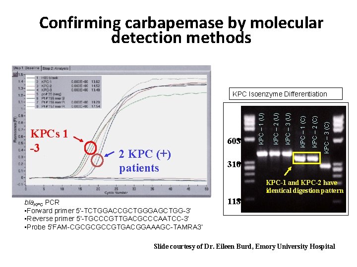 Confirming carbapemase by molecular detection methods KPC – 3 (C) KPC – 2 (C)