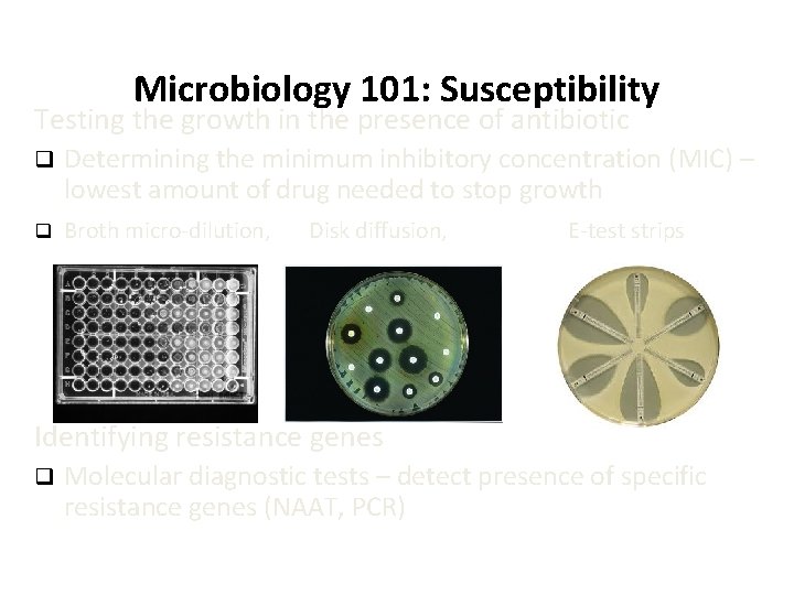Microbiology 101: Susceptibility Testing the growth in the presence of antibiotic q Determining the