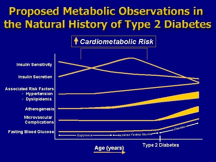 Cardiometabolic Risk Insulin Sensitivity Insulin Secretion Associated Risk Factors • Hypertension • Dyslipidemia Atherogenesis