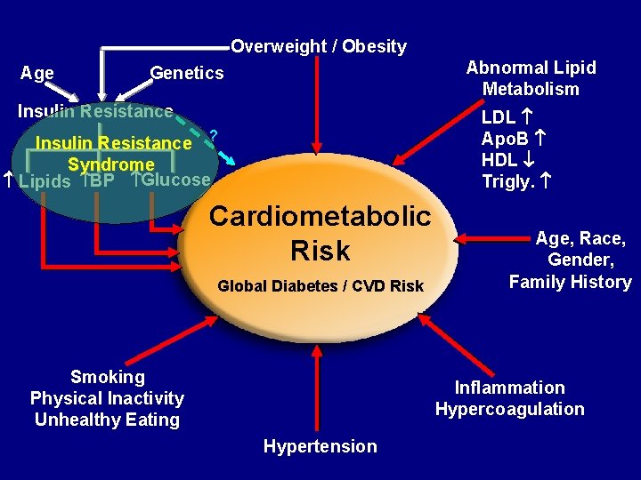 Overweight / Obesity Age Abnormal Lipid Metabolism Genetics Insulin Resistance LDL Apo. B HDL