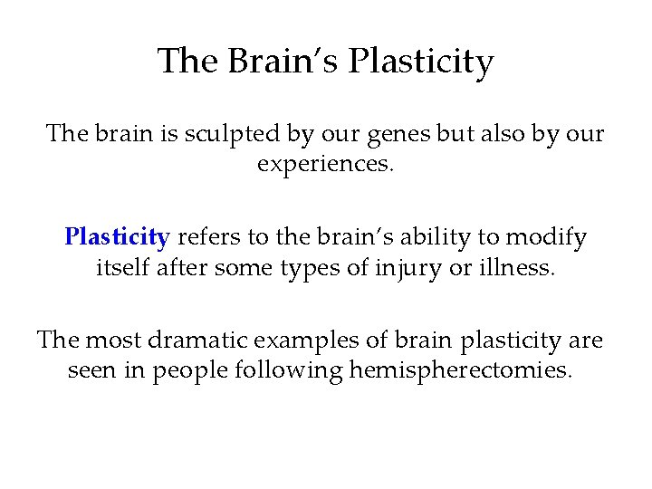 The Brain’s Plasticity The brain is sculpted by our genes but also by our