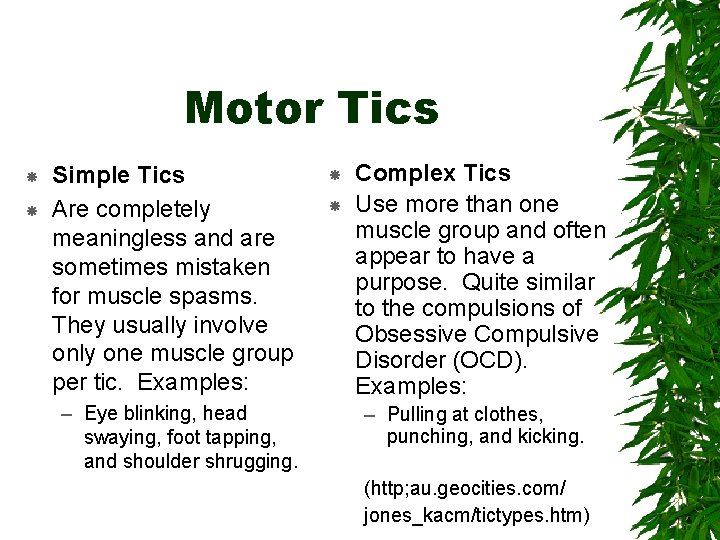 Motor Tics Simple Tics Are completely meaningless and are sometimes mistaken for muscle spasms.