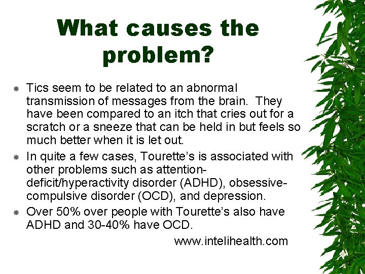 What causes the problem? Tics seem to be related to an abnormal transmission of