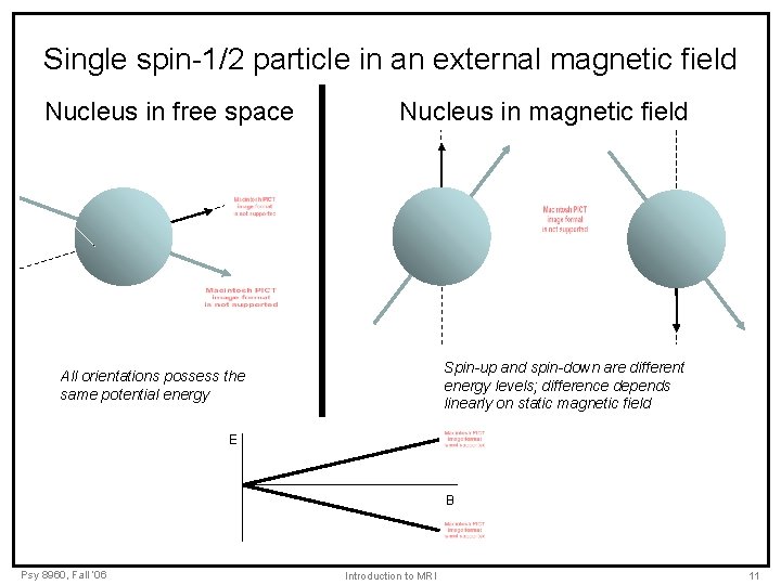 Single spin-1/2 particle in an external magnetic field Nucleus in free space Nucleus in