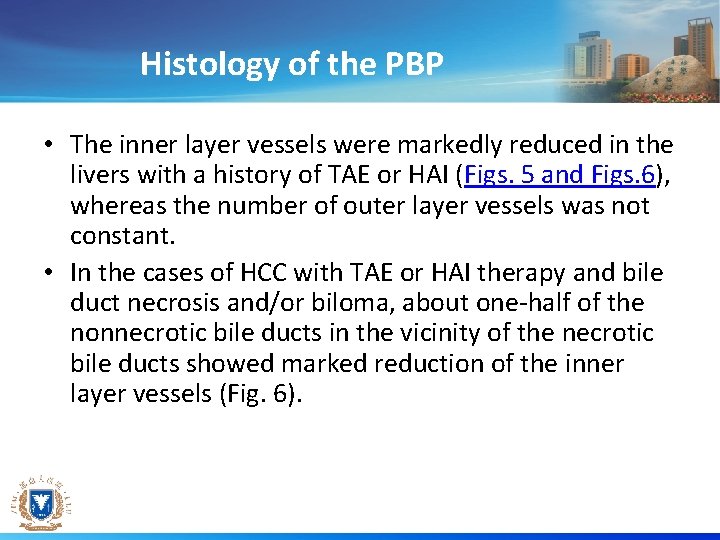 Histology of the PBP • The inner layer vessels were markedly reduced in the