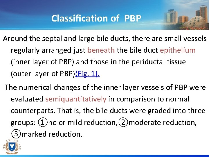 Classification of PBP Around the septal and large bile ducts, there are small vessels