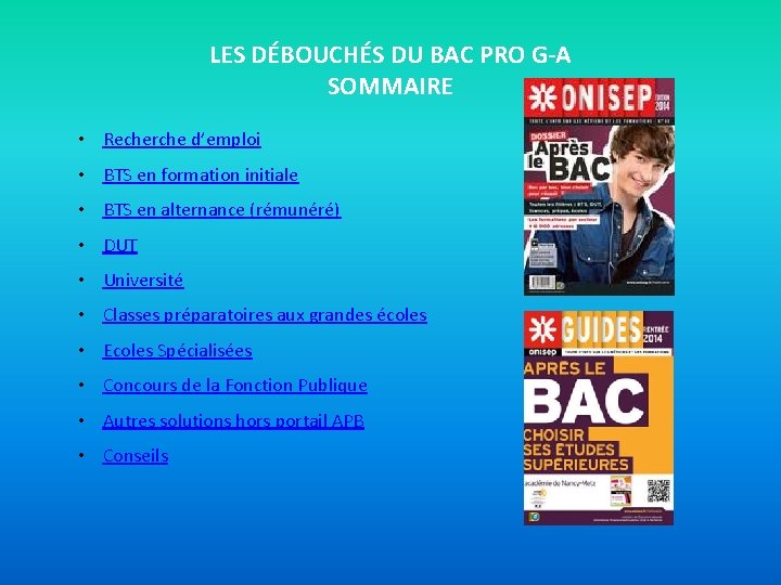 LES DÉBOUCHÉS DU BAC PRO G-A SOMMAIRE • Recherche d’emploi • BTS en formation