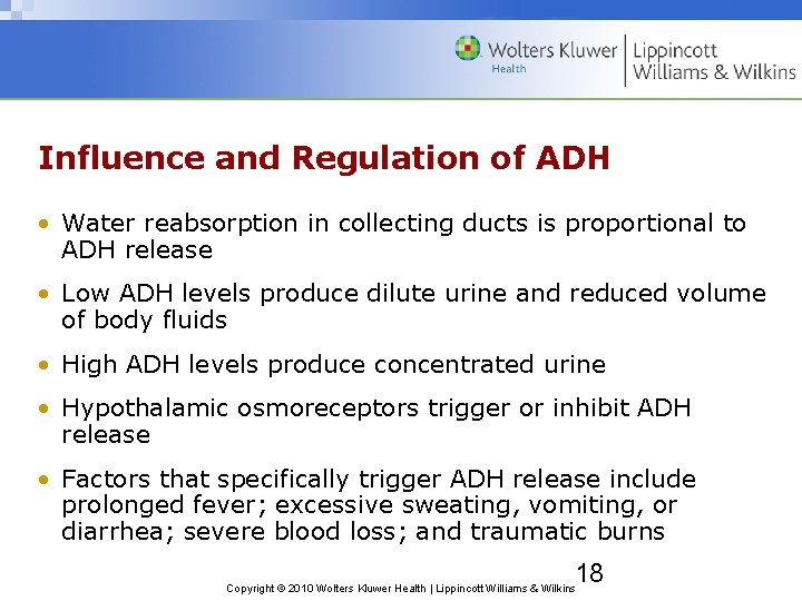 Influence and Regulation of ADH • Water reabsorption in collecting ducts is proportional to