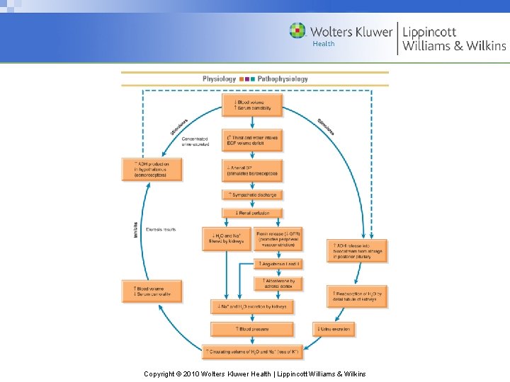 Copyright © 2010 Wolters Kluwer Health | Lippincott Williams & Wilkins 