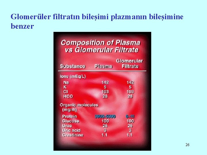 Glomerüler filtratın bileşimi plazmanın bileşimine benzer 26 