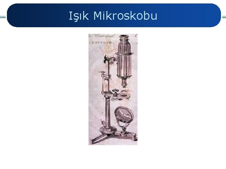 Işık Mikroskobu 