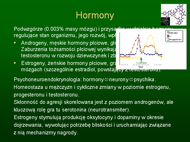 Hormony Podwzgórze (0. 003% masy mózgu) i przysadka wydzielają hormony, regulujące stan organizmu, jego