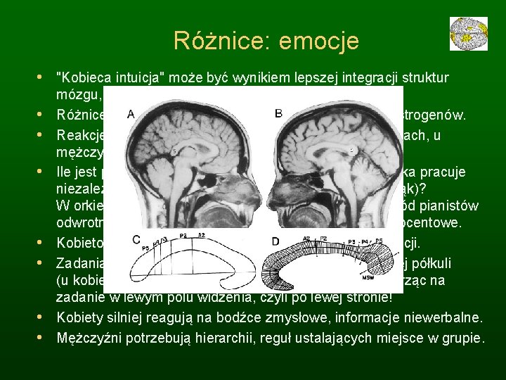 Różnice: emocje • "Kobieca intuicja" może być wynikiem lepszej integracji struktur • • mózgu,