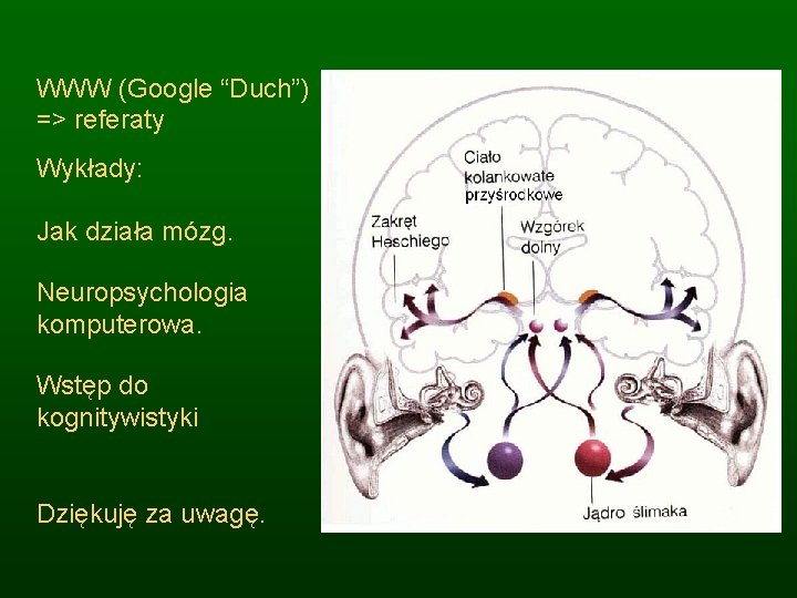 WWW (Google “Duch”) => referaty Wykłady: Jak działa mózg. Neuropsychologia komputerowa. Wstęp do kognitywistyki