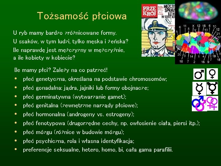 Tożsamość płciowa U ryb mamy bardzo zróżnicowane formy. U ssaków, w tym ludzi, tylko