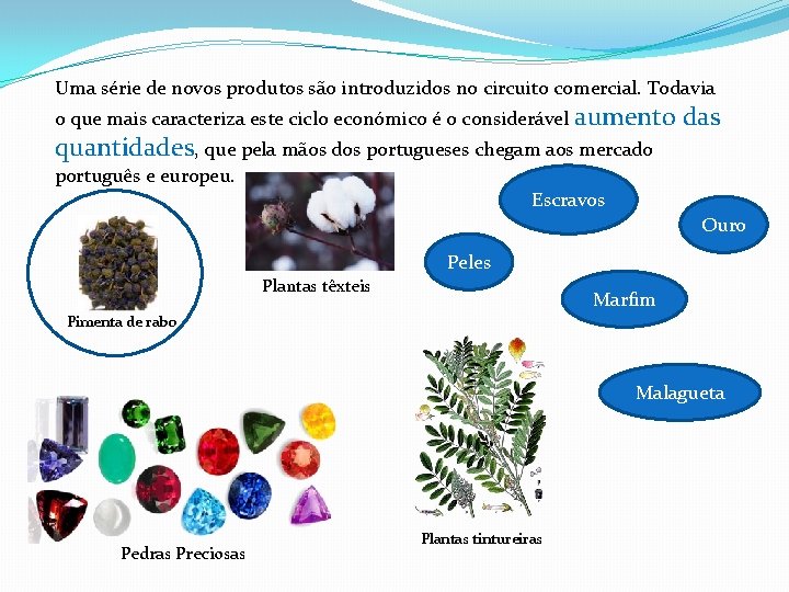 Uma série de novos produtos são introduzidos no circuito comercial. Todavia o que mais