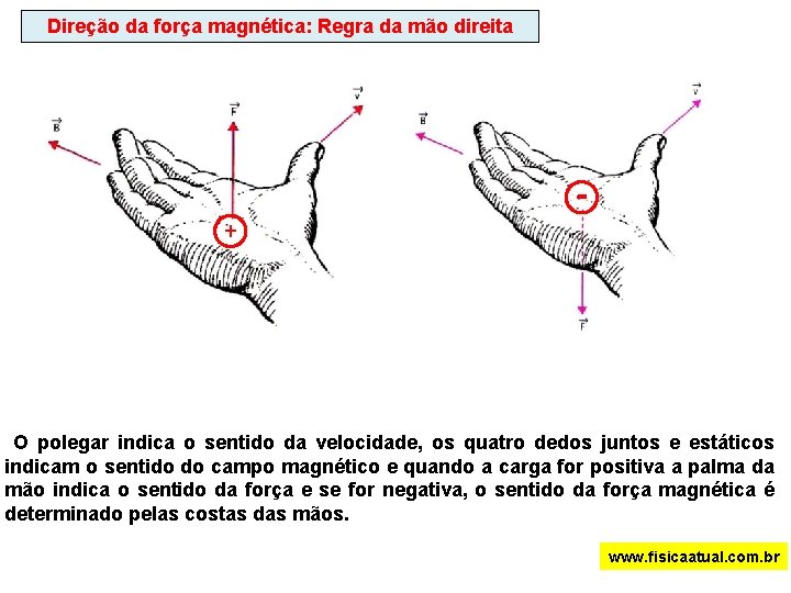 Direção da força magnética: Regra da mão direita + - O polegar indica o